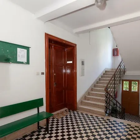 Apartment Toma *